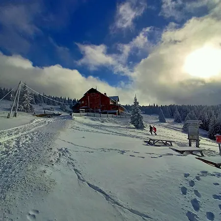 Janowa Góra 9a Apartament Sienna (Klodzko)