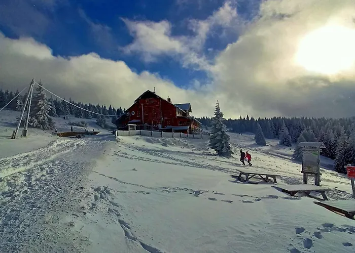 Janowa Gora 9a Apartment Sienna (Klodzko)